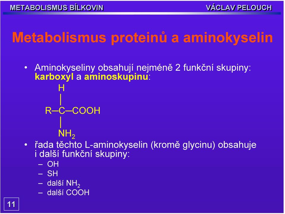 aminoskupinu: H R C COOH NH 2 řada těchto L-aminokyselin