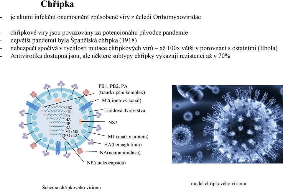 Antivirotika dostupná jsou, ale některé subtypy chřipky vykazují rezistenci až v 70% PB2 PB1 PA HA NP NA M1+M2 NS1+NS2 PB1, PB2, PA (transkripční komplex)