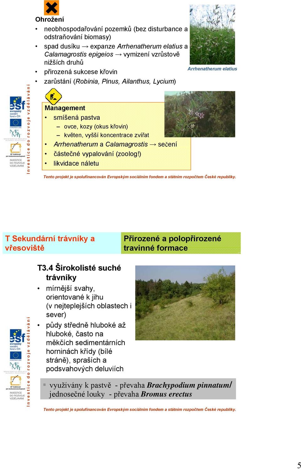 (zoolog!) likvidace náletu Arrhenatherum elatius T Sekundární trávníky a vřesoviště Přirozené a polopřirozené travinné formace T3.