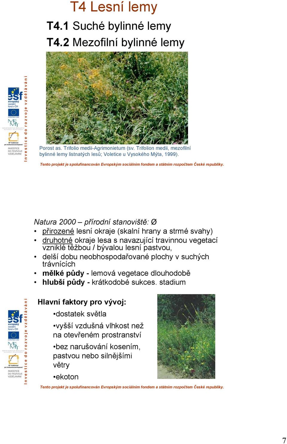 Natura 2000 přírodní stanoviště: Ø přirozené lesní okraje (skalní hrany a strmé svahy) druhotné okraje lesa s navazující travinnou vegetací vzniklé těžbou / bývalou