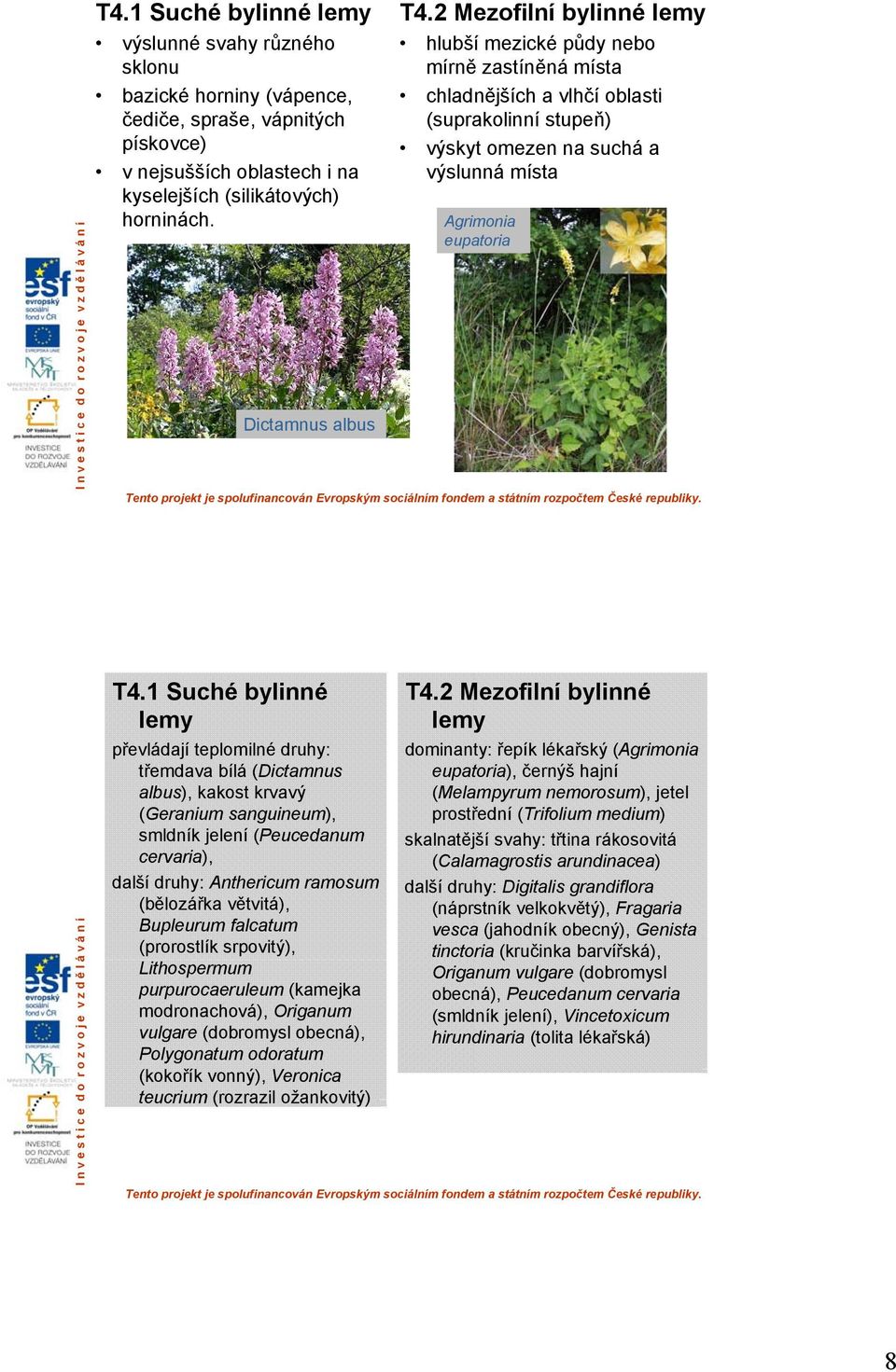 2 Mezofilní bylinné lemy hlubší mezické půdy nebo mírně zastíněná místa chladnějších a vlhčí oblasti (suprakolinní stupeň) výskyt omezen na suchá a výslunná místa Agrimonia eupatoria T4.