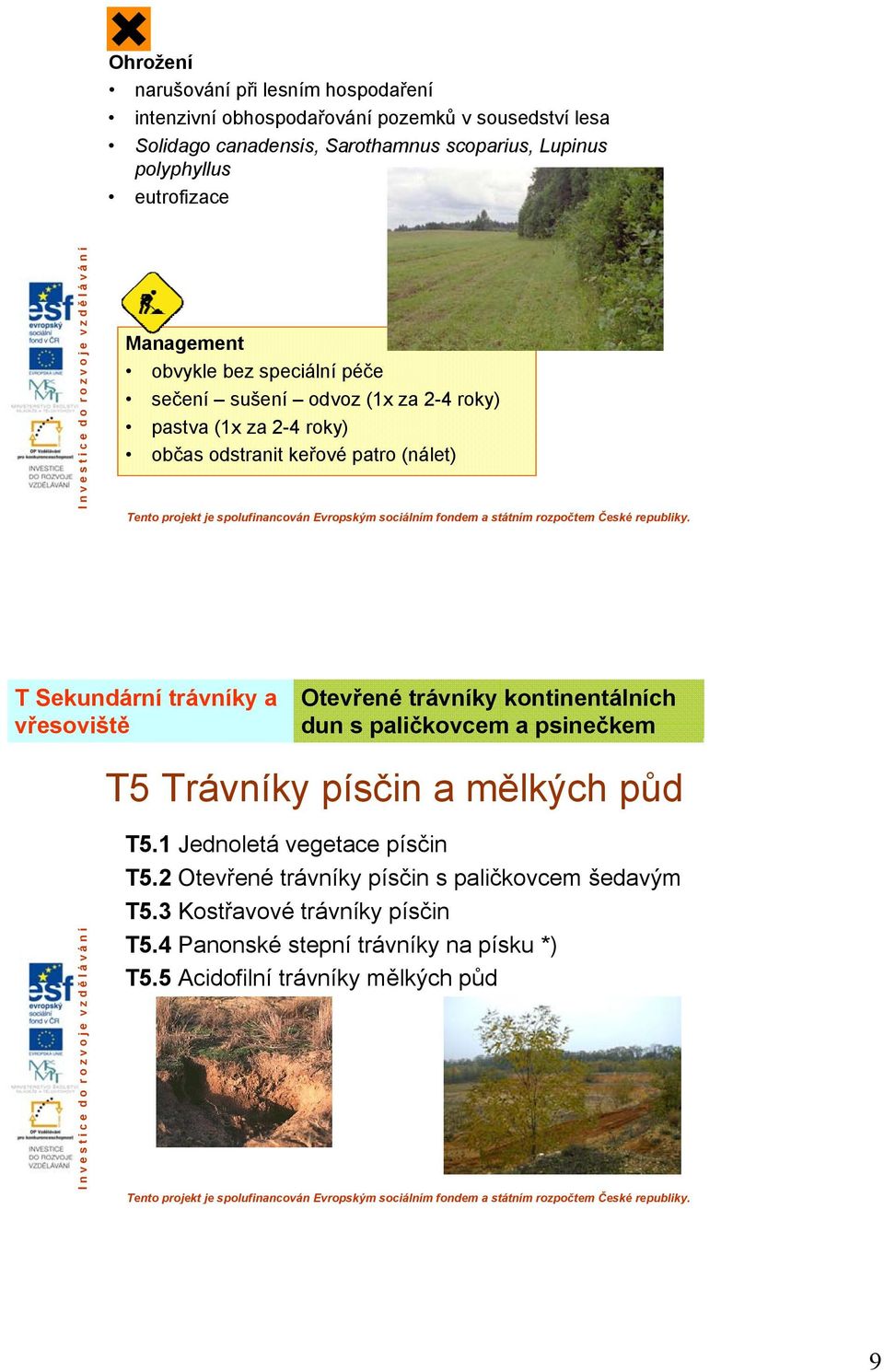 (nálet) T Sekundární trávníky a vřesoviště Otevřené trávníky kontinentálních dun s paličkovcem a psinečkem T5 Trávníky písčin a mělkých půd T5.