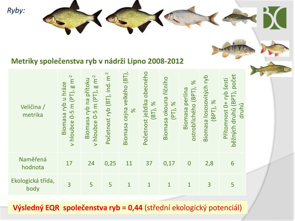 běžných druhů (BPT), počet druhů Metriky společenstva ryb v nádrži Lipno 2008-2012 v hloubce 0-5 m (PT), g m -2 Početnost ryb (BT), ind.