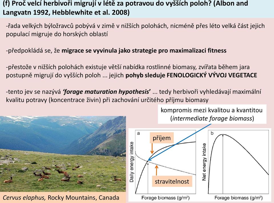 maximalizaci fitness -přestože v nižších polohách existuje větší nabídka rostlinné biomasy, zvířata během jara postupně migrují do vyšších poloh.