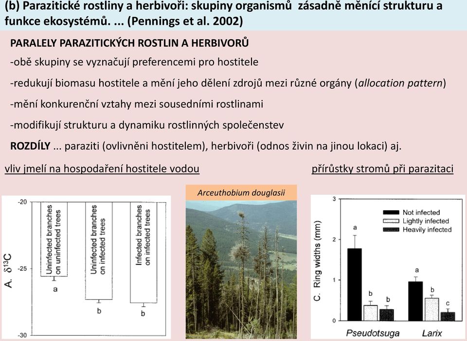 zdrojů mezi různé orgány (allocation pattern) -mění konkurenční vztahy mezi sousedními rostlinami -modifikují strukturu a dynamiku rostlinných