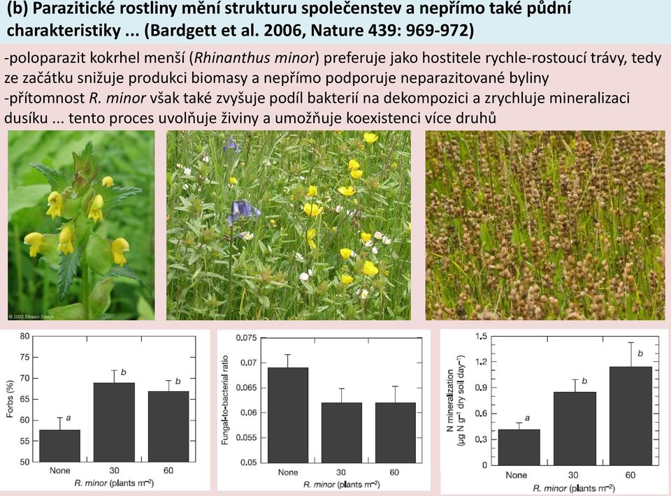 trávy, tedy ze začátku snižuje produkci biomasy a nepřímo podporuje neparazitované byliny -přítomnost R.