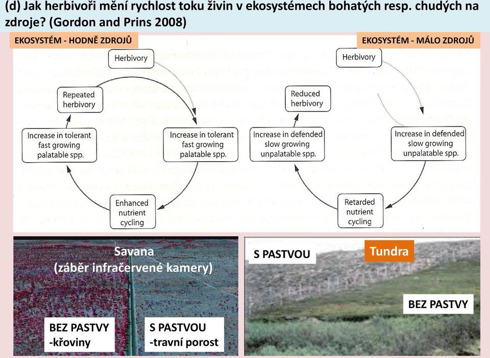 (Gordon and Prins 2008) EKOSYSTÉM - HODNĚ ZDROJŮ EKOSYSTÉM - MÁLO