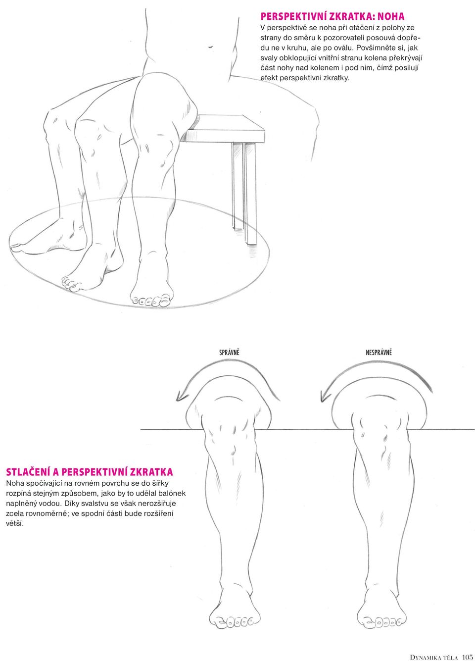 Povšimněte si, jak svaly obklopující vnitřní stranu kolena překrývají část nohy nad kolenem i pod ním, čímž posilují efekt perspektivní