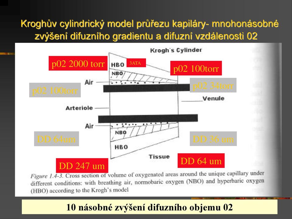 2000 torr p02 100torr 3ATA p02 100torr p02 34torr DD 64um