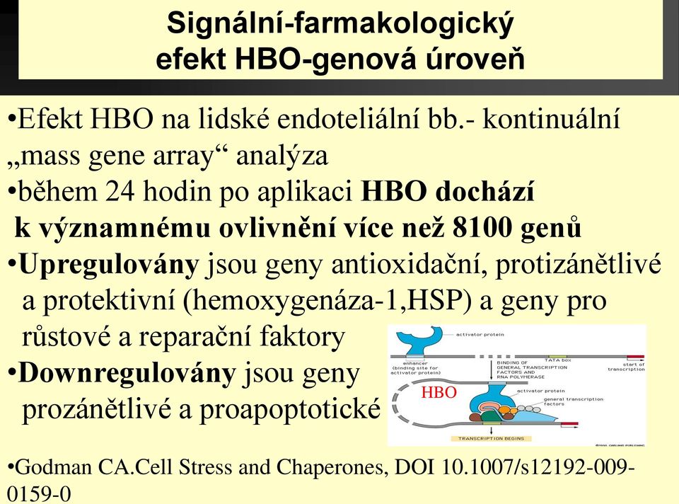 - kontinuální mass gene array analýza během 24 hodin po aplikaci HBO dochází k významnému ovlivnění více než 8100
