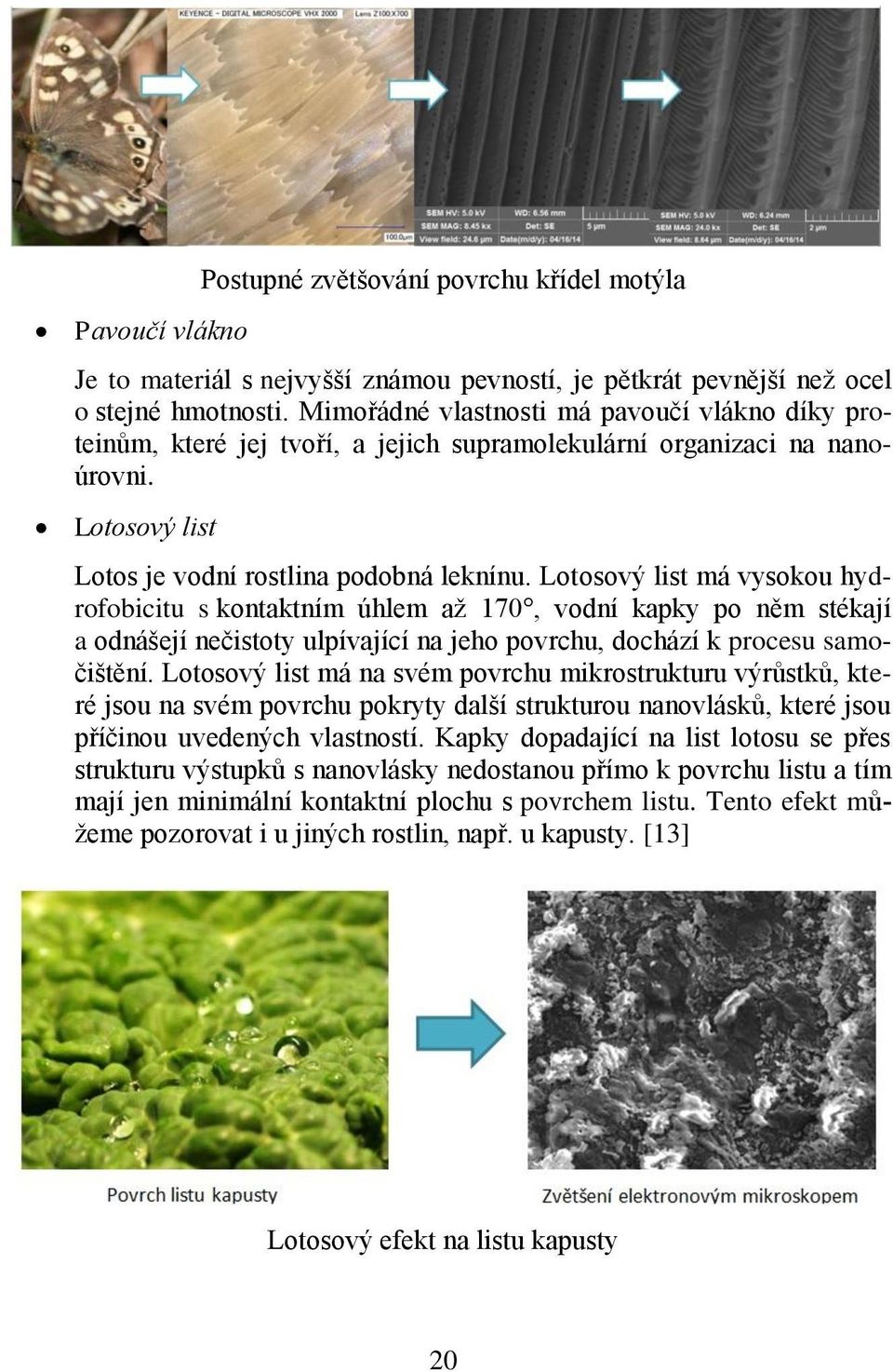 Lotosový list má vysokou hydrofobicitu s kontaktním úhlem až 170, vodní kapky po něm stékají a odnášejí nečistoty ulpívající na jeho povrchu, dochází k procesu samočištění.