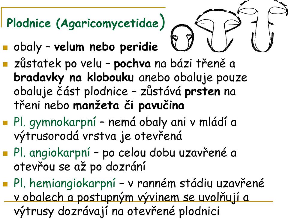 gymnokarpní nemá obaly ani v mládí a výtrusorodá vrstva je otevřená Pl.