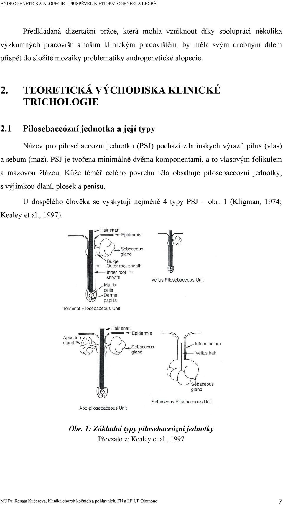 1 Pilosebaceózní jednotka a její typy Název pro pilosebaceózní jednotku (PSJ) pochází z latinských výrazů pilus (vlas) a sebum (maz).