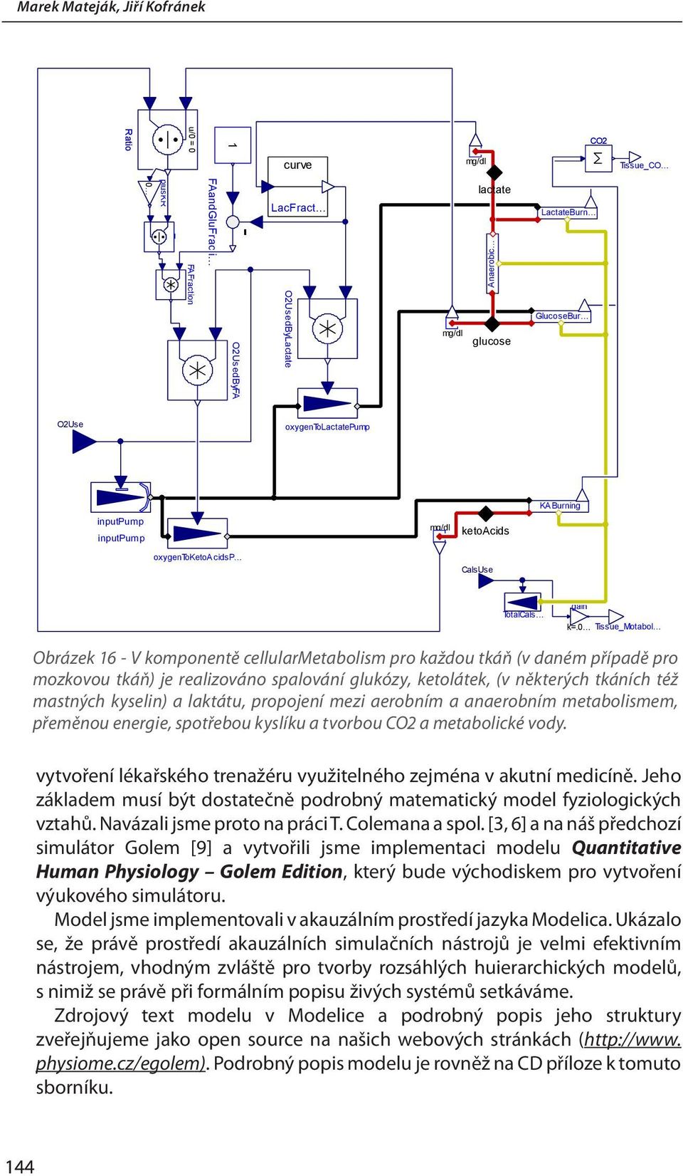 0 Tissue_Motabol Obrázek 16 - V komponentě cellularmetabolism pro každou tkáň (v daném případě pro mozkovou tkáň) je realizováno spalování glukózy, ketolátek, (v některých tkáních též mastných