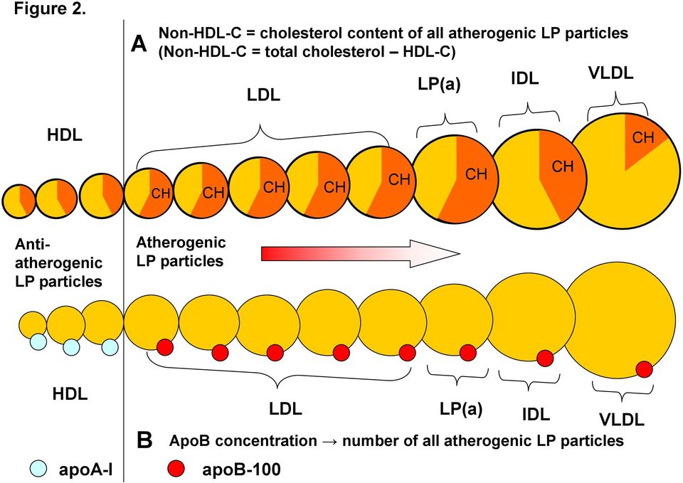 (Non-HDL-C = total cholesterol HDL-C) LDL LP(a) IDL VLDL HDL