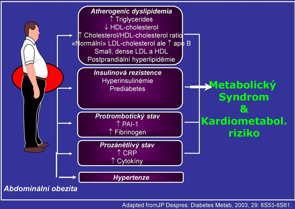 Hyperinsulinémie Prediabetes Protrombotický stav PAI-1 Fibrinogen Prozánětlivý stav CRP Cytokíny Metabolický