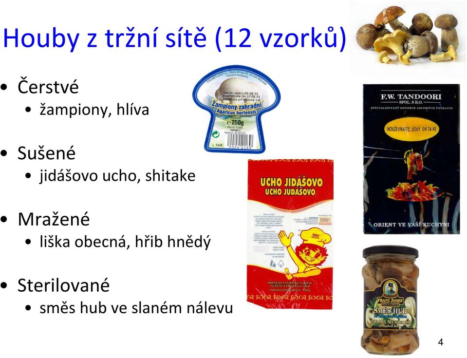 shitake Mražené liška obecná, hřib