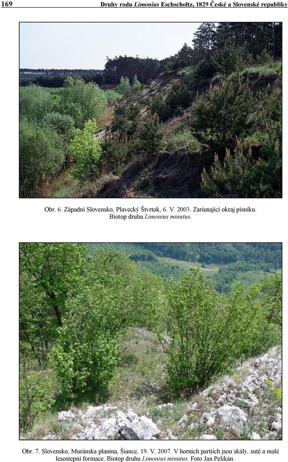 Biotop druhu Limonius minutus. Obr. 7. Slovensko, Muránska planina, Šiance, 19. V. 2007.