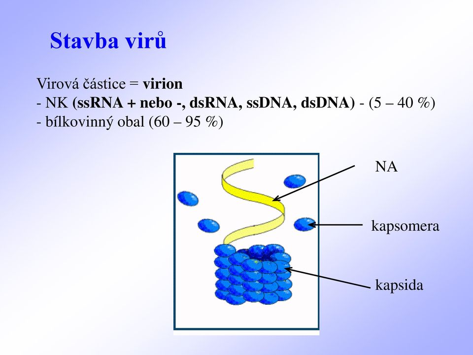 dsrna, ssdna, dsdna) - (5 40 %) -