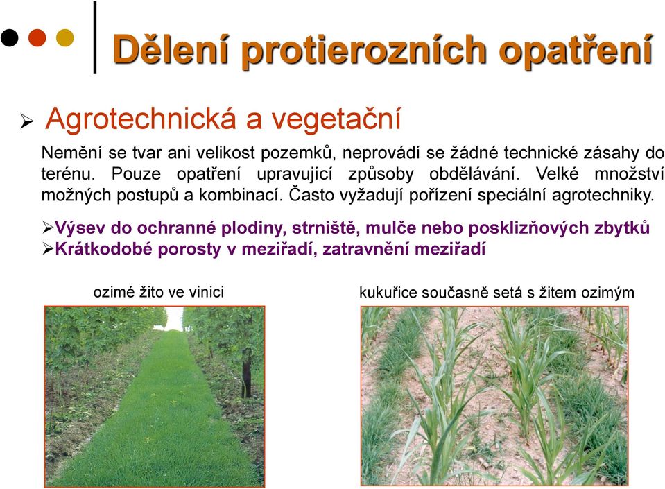 Velké množství možných postupů a kombinací. Často vyžadují pořízení speciální agrotechniky.