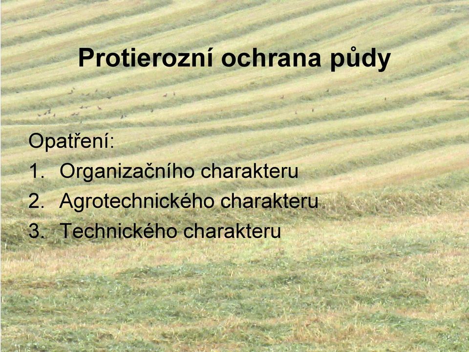 Organizačního charakteru 2.