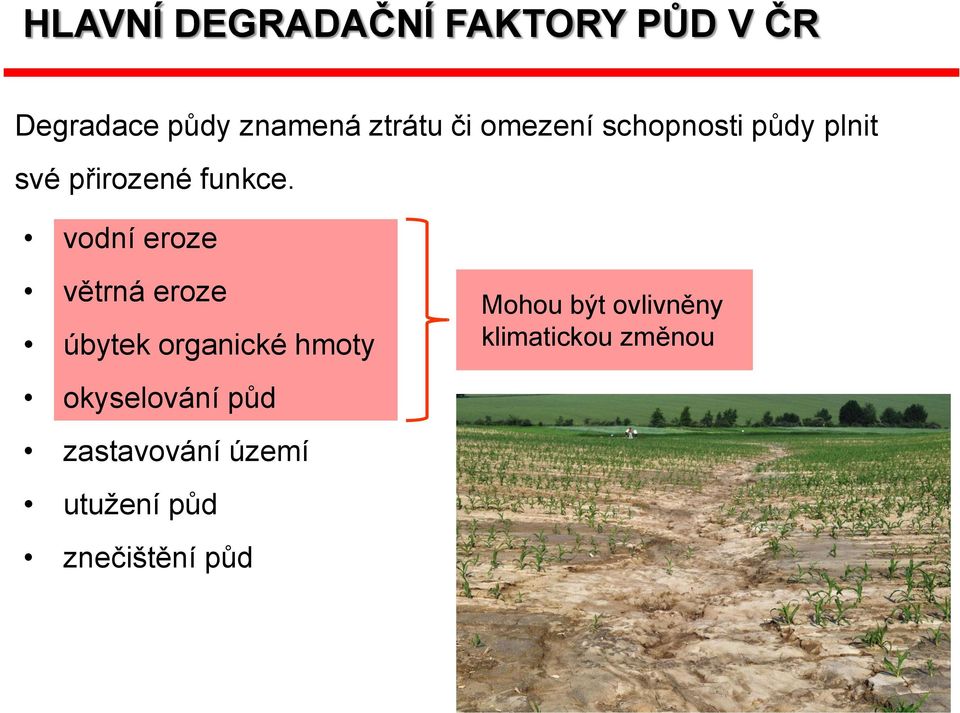 vodní eroze větrná eroze úbytek organické hmoty okyselování půd