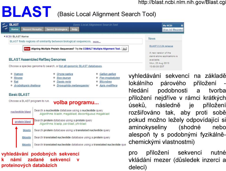 přiložení hledání podobnosti a tvorba přiložení nejdříve v rámci krátkých úseků, následně je přiložení rozšiřováno tak, aby proti sobě