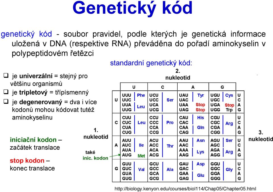 = třípísmenný je degenerovaný = dva i více kodonů mohou kódovat tutéž aminokyselinu iniciační kodon začátek translace stop kodon