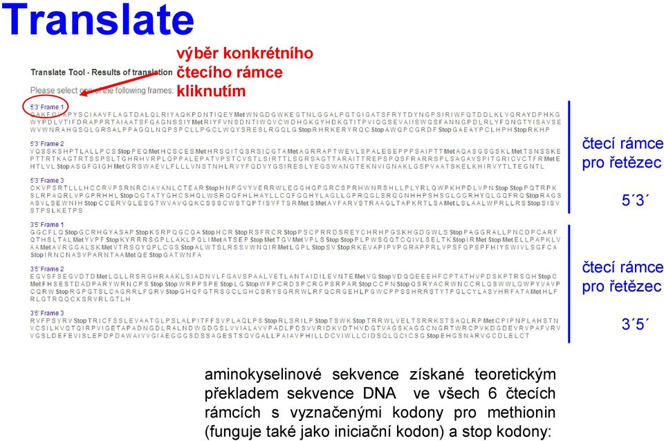 získané teoretickým překladem sekvence DNA ve všech 6 čtecích rámcích s