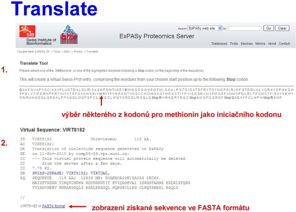 methionin jako iniciačního