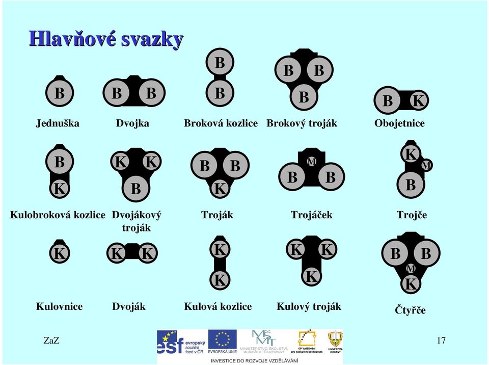 Kulobroková kozlice Dvojákový troják Troják Trojáček Trojče K K K