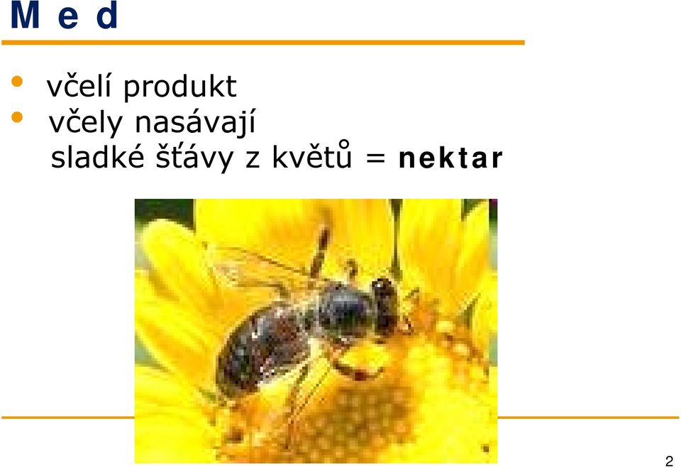 nasávají sladké