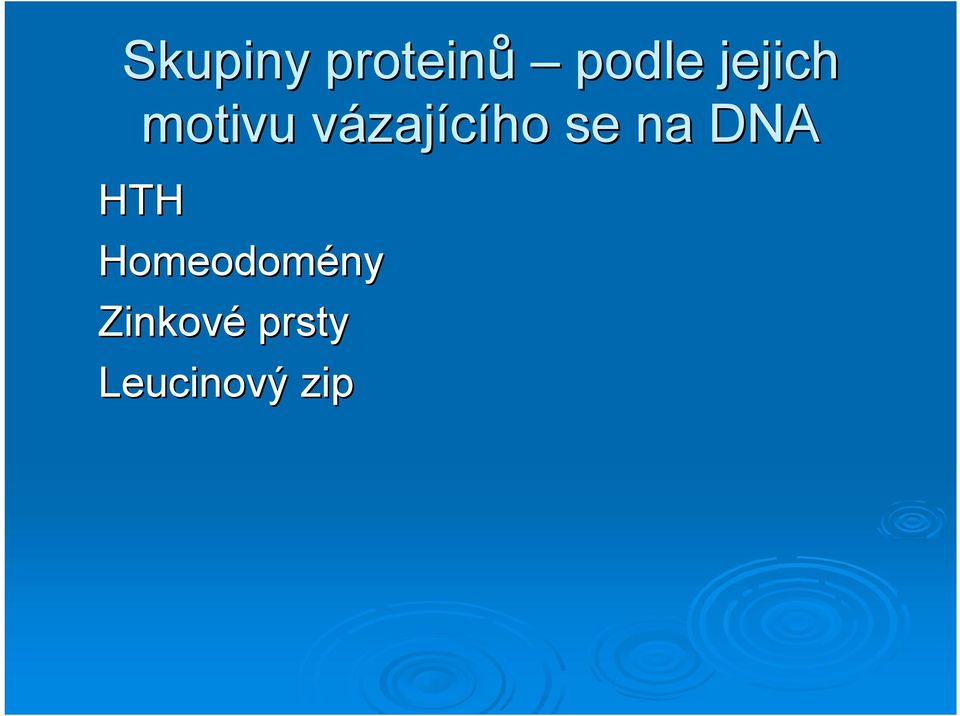 zajícího se na DNA HTH