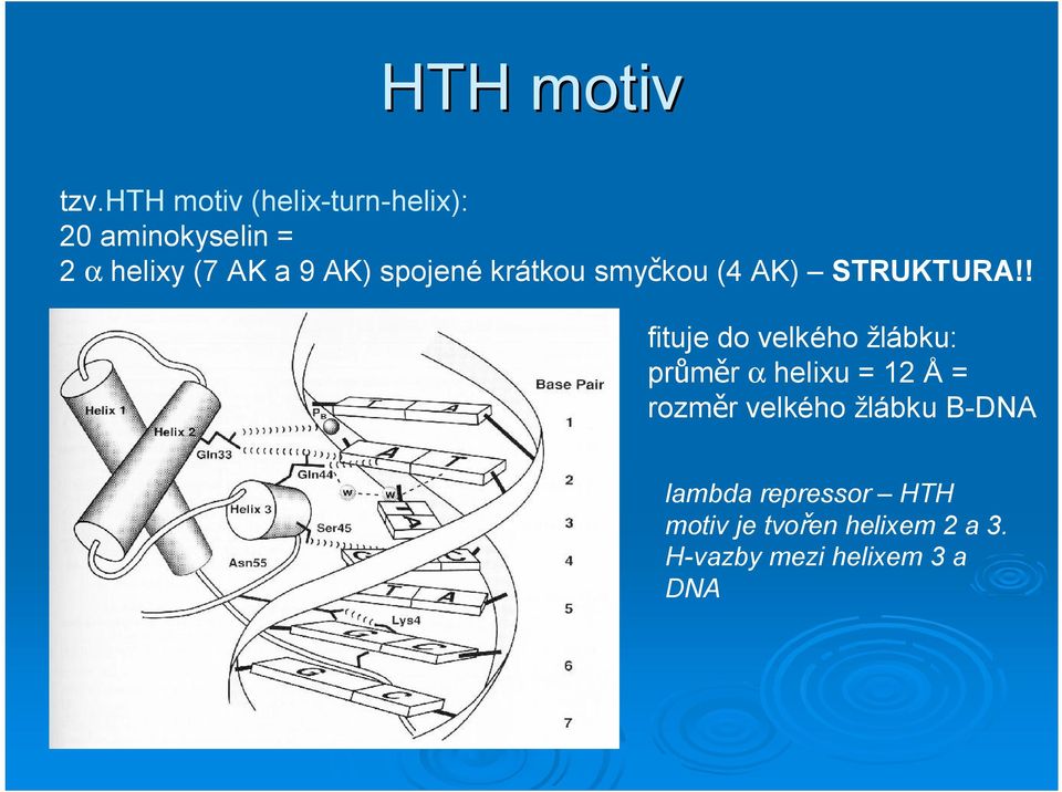 spojené krátkou smy kou (4 AK) STRUKTURA!