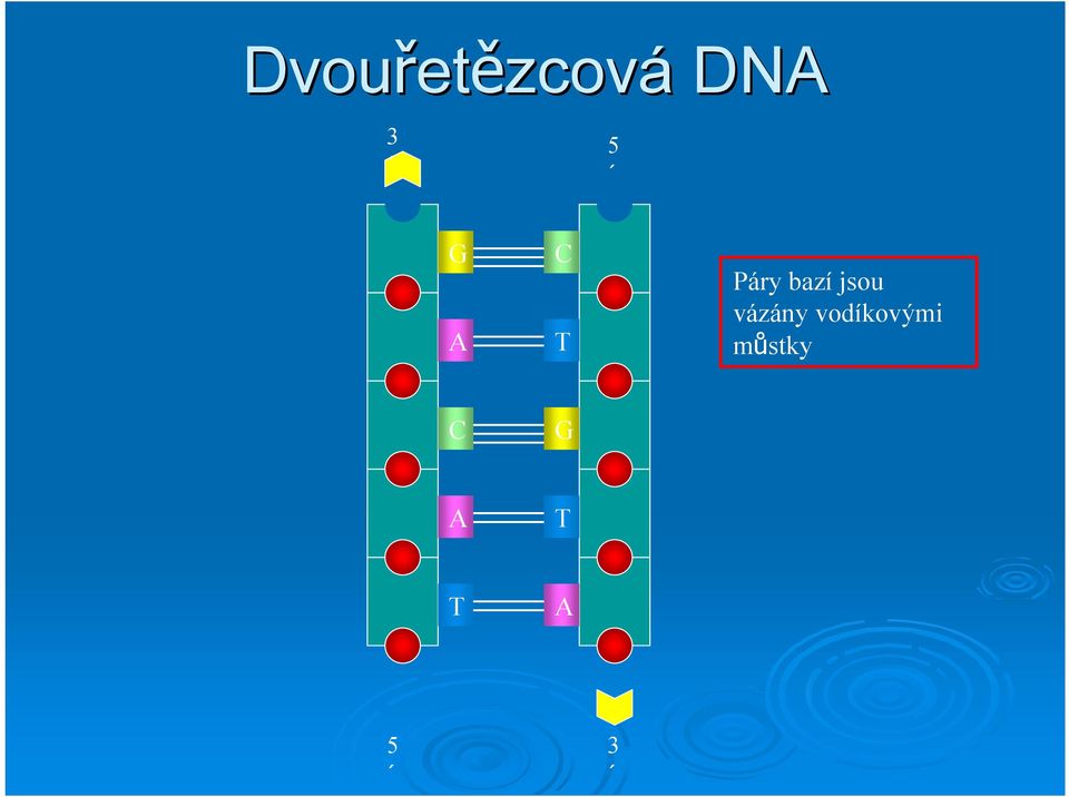 jsou vázány