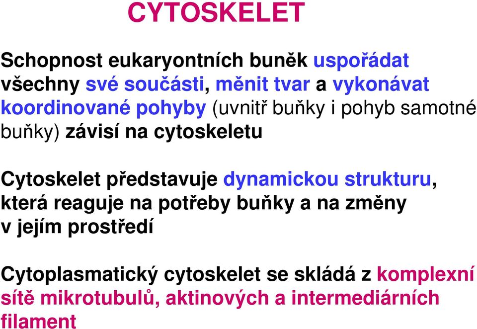 představuje dynamickou strukturu, která reaguje na potřeby buňky a na změny v jejím prostředí