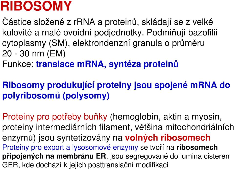 spojené mrna do polyribosomů (polysomy) Proteiny pro potřeby buňky (hemoglobin, aktin a myosin, proteiny intermediárních filament, většina mitochondriálních