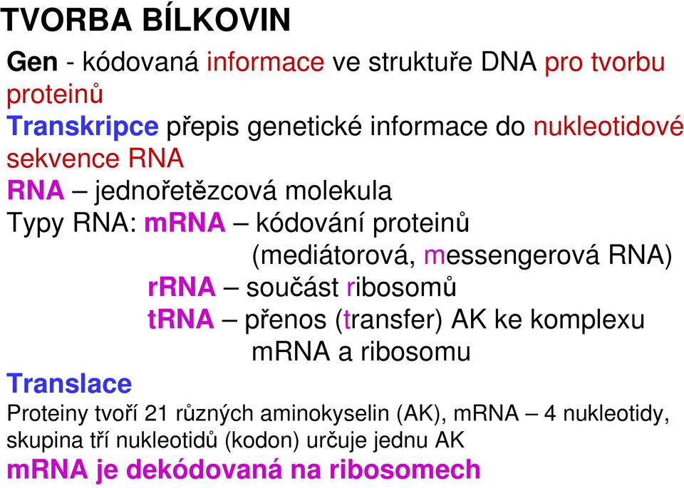 RNA) rrna součást ribosomů trna přenos (transfer) AK ke komplexu mrna a ribosomu Translace Proteiny tvoří 21 různých