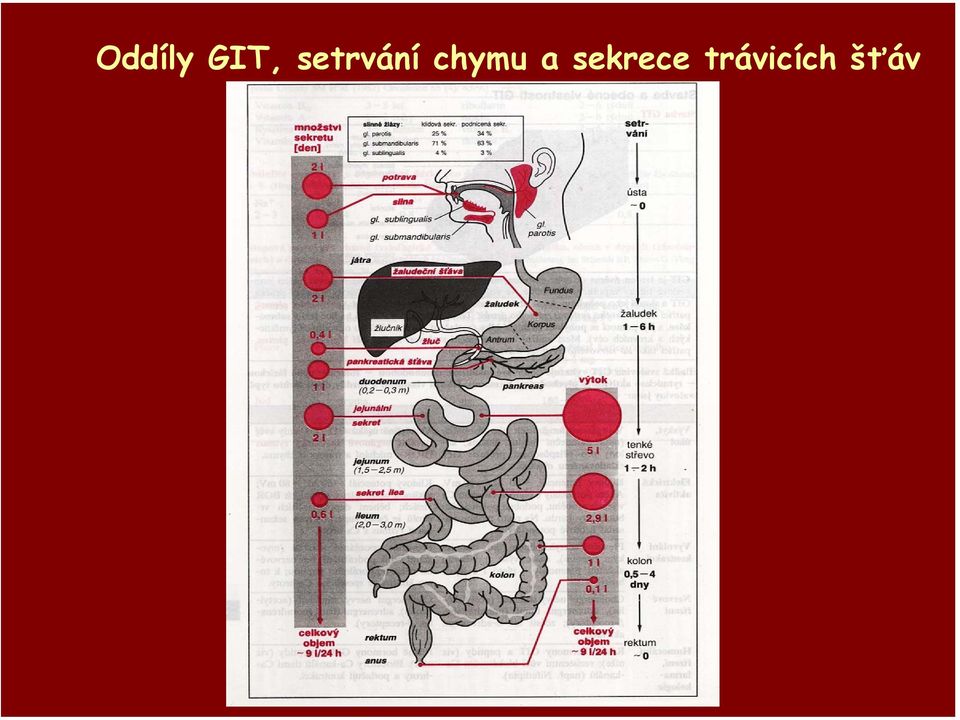 chymu a