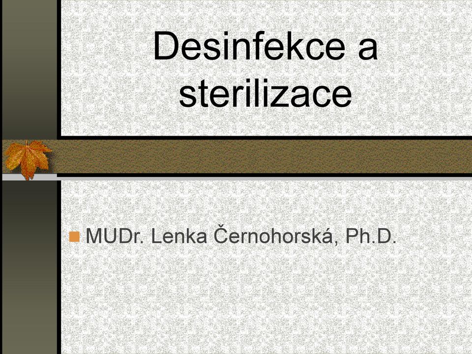 MUDr. Lenka