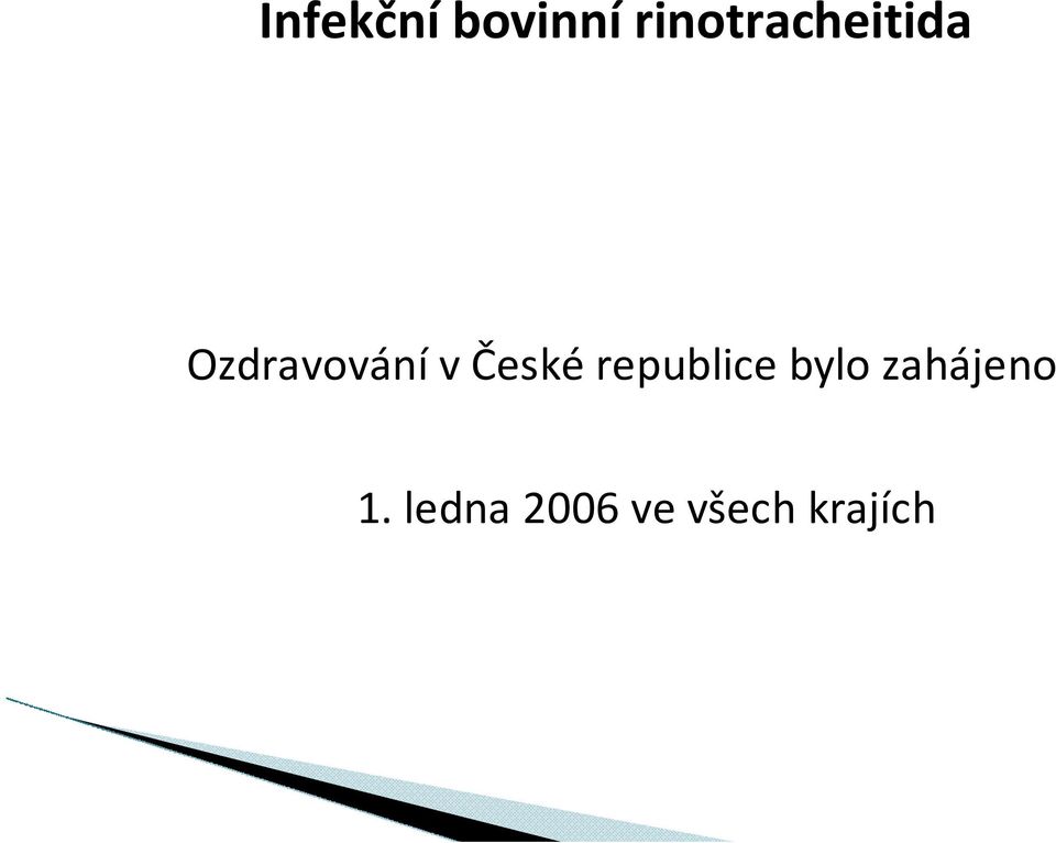 Ozdravování v České