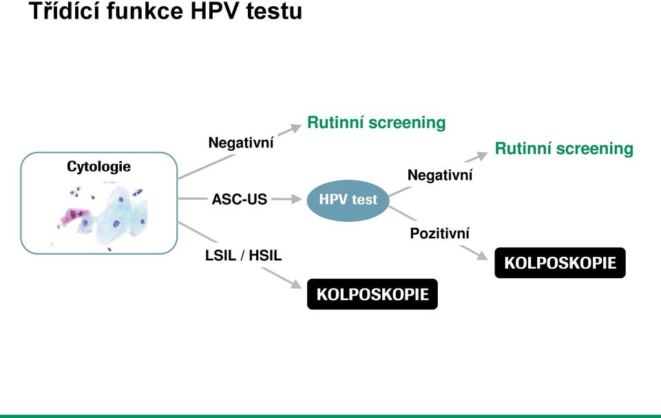 Rutinní screening ASC-US HPV test