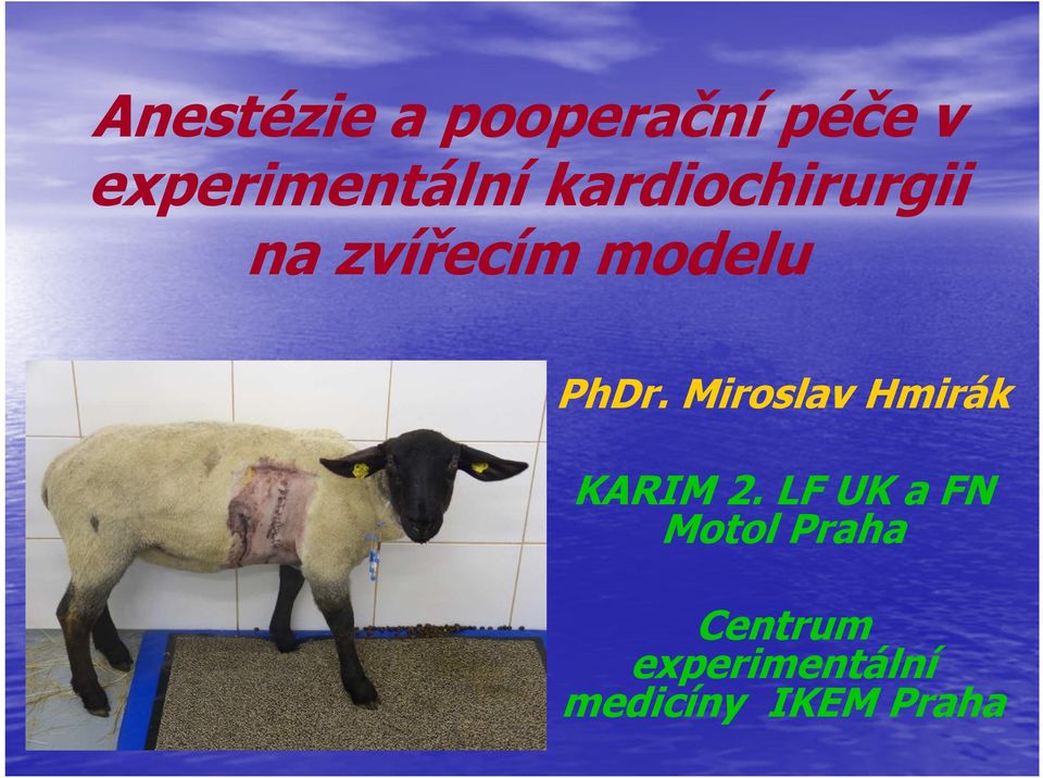 modelu PhDr. Miroslav Hmirák KARIM 2.