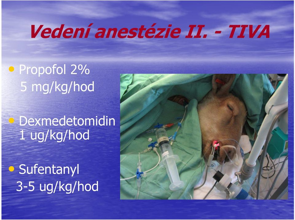 mg/kg/hod Dexmedetomidin