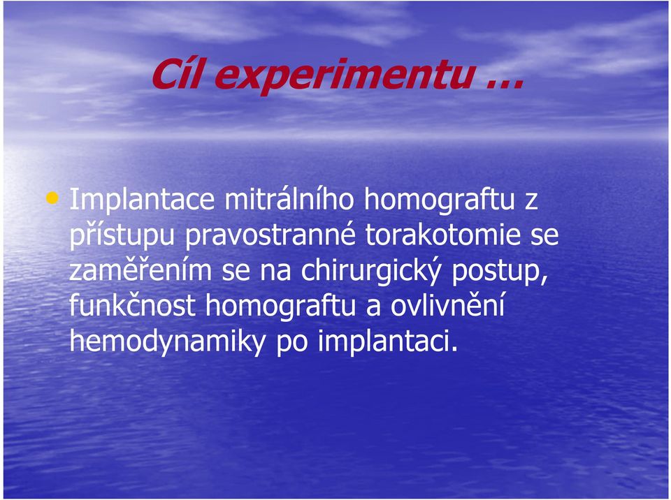 torakotomie se zaměřením se na chirurgický