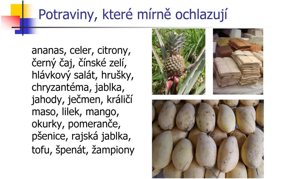 chryzantéma, jablka, jahody, ječmen, králičí maso, lilek,