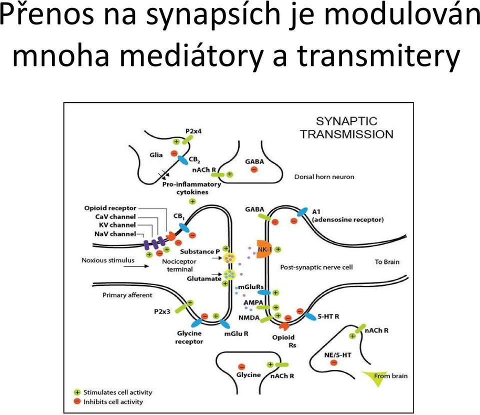 modulován mnoha