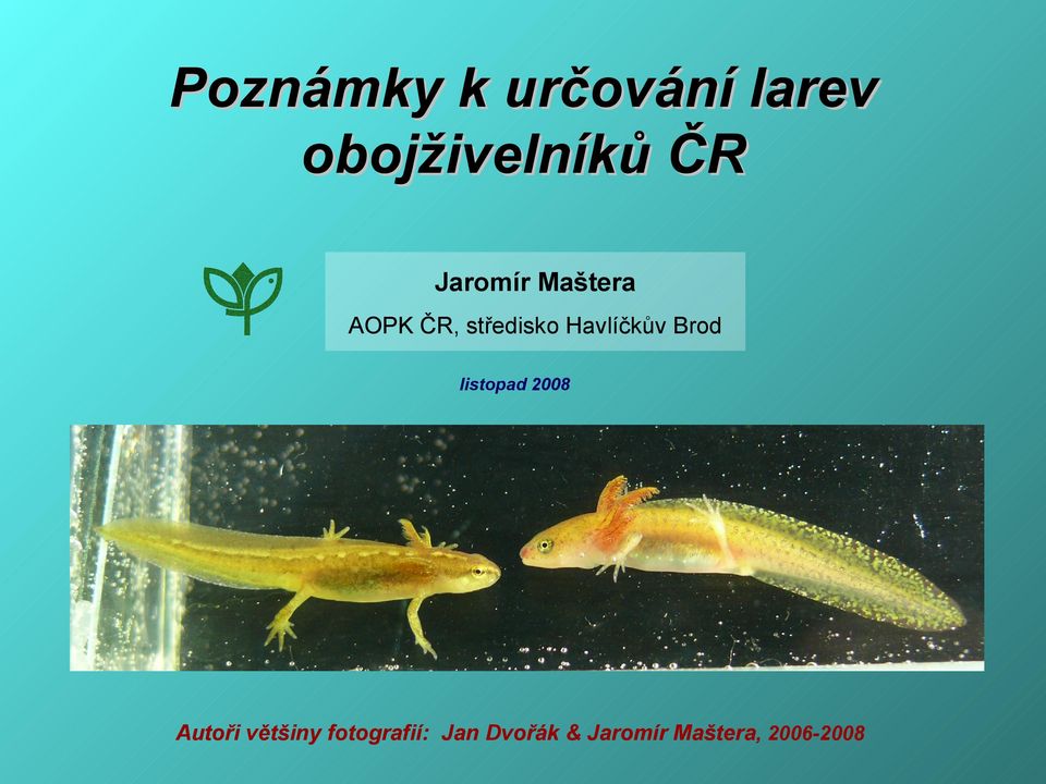 Havlíčkův Brod listopad 2008 Autoři většiny