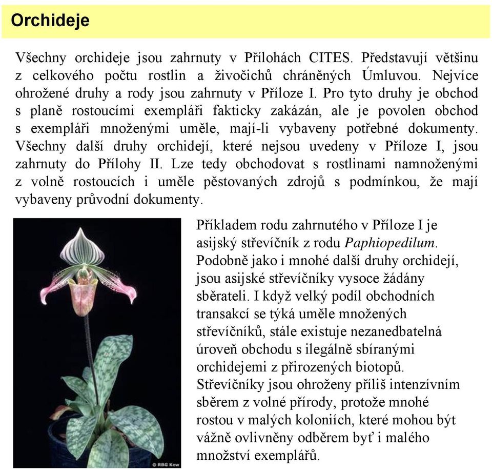 Všechny další druhy orchidejí, které nejsou uvedeny v Příloze I, jsou zahrnuty do Přílohy II.