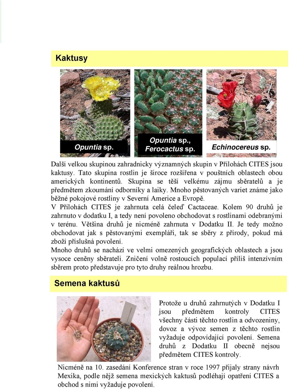 Mnoho pěstovaných variet známe jako běžné pokojové rostliny v Severní Americe a Evropě. V Přílohách CITES je zahrnuta celá čeleď Cactaceae.